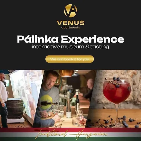 Venus - Parliament I Апартаменты Будапешт